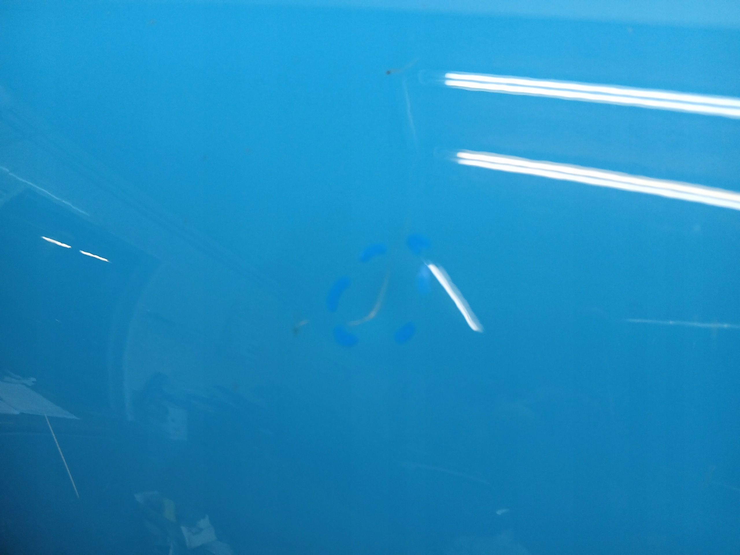 door front right HYUNDAI IONIQ VI 6