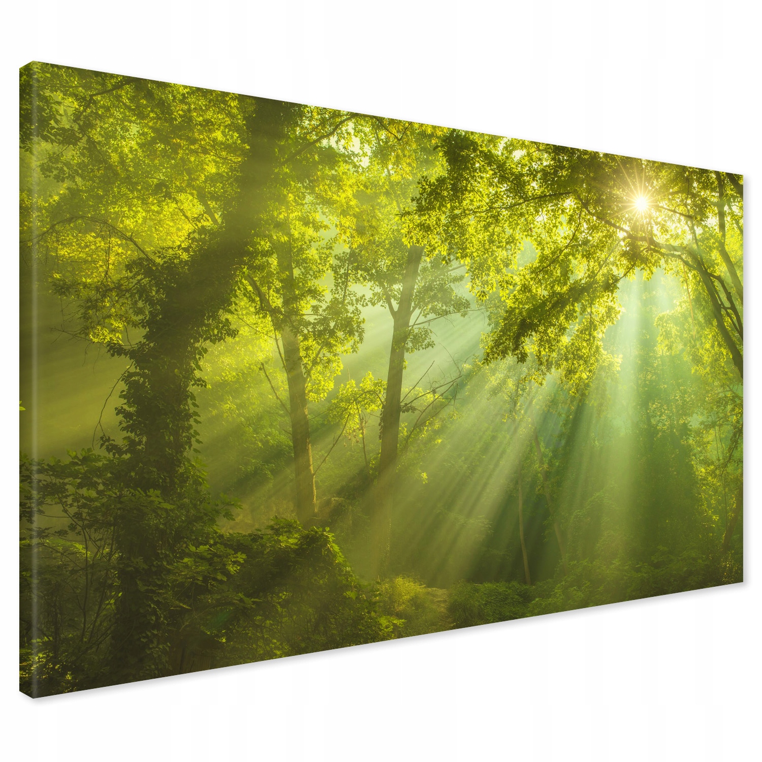 Obraz na płótnie 120x80 Las Drzewa Nowoczesny XXL Canvas do Salonu Premium