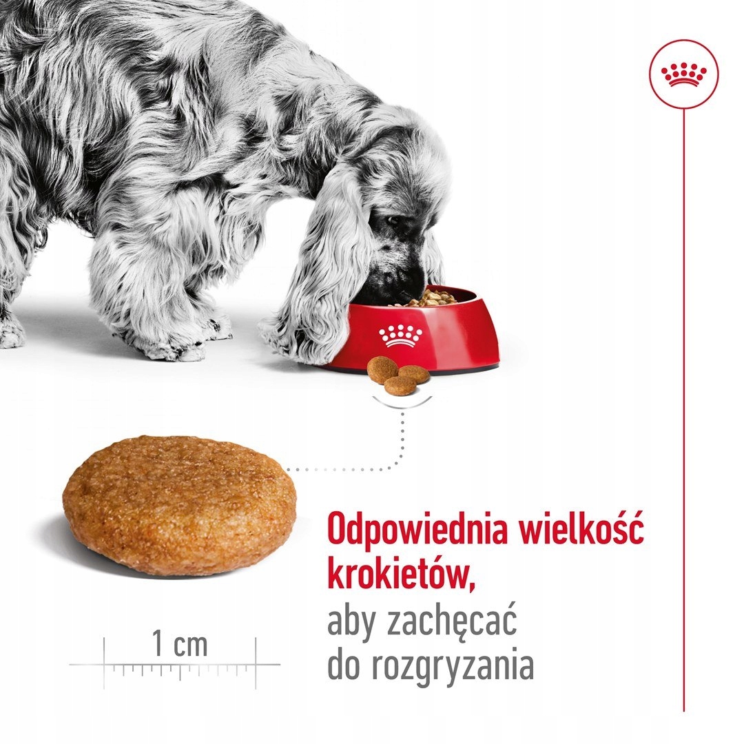 Levně Royal Canin Shn Medium Adult Bf 4kg