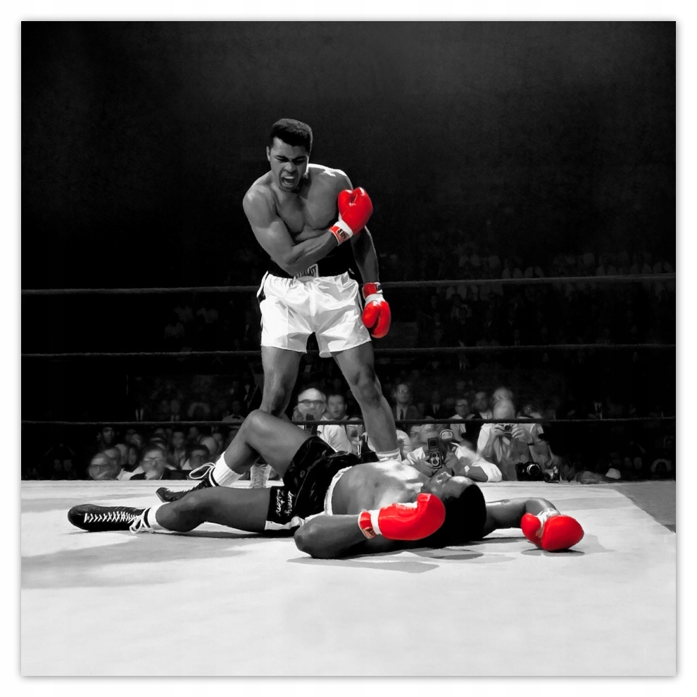 

Fototapety flizelina 312x312 Muhhamad Ali Bokser