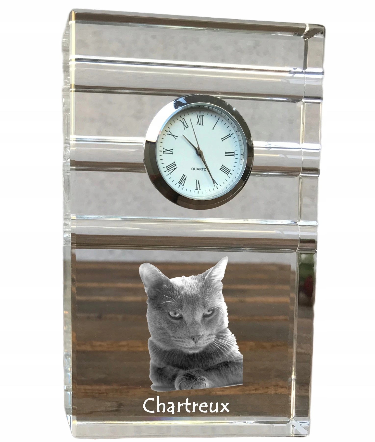 Mačka Chartreux krištáľové stolové hodinky s vašou fotografiou, suvenír