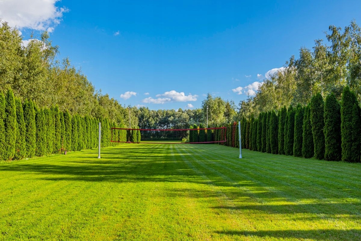 AERATOR WERTYKULATOR DO TRAWNIKÓW NAPOWIETRZANIA DUŻE KOLCE NA BUTY AREATOR Informacje dodatkowe funkcja aeracji