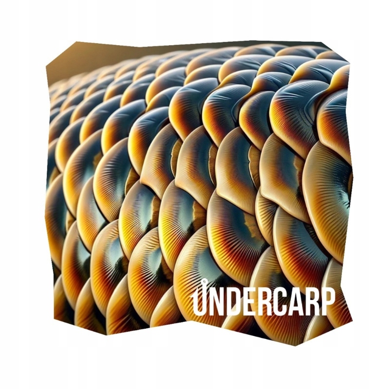 Undercarp Набір З 14 Коропових Наклейок - Подарунок Для Анангера