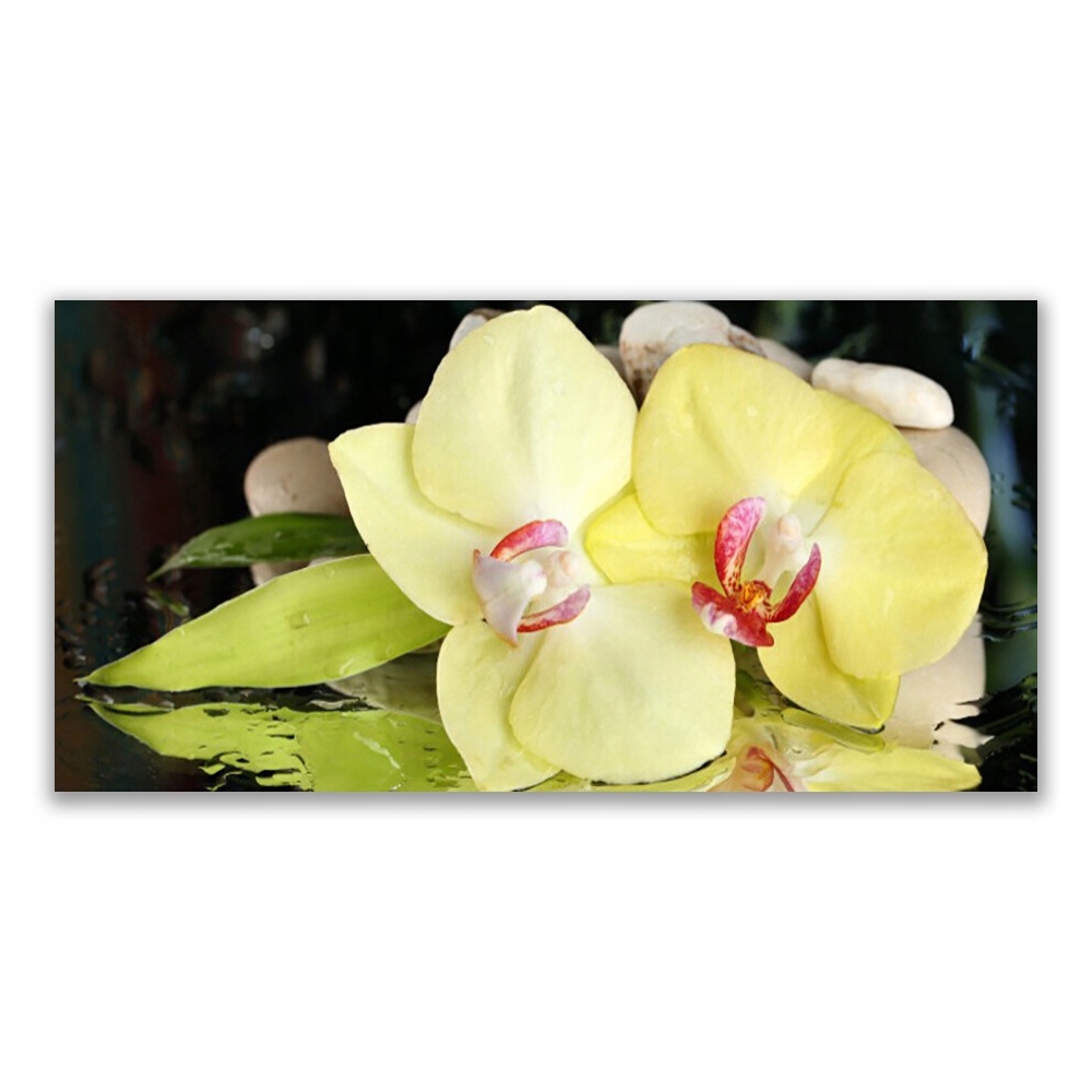 

Fotoobraz na prezent 140x70 Płatki Kwiatu Storczyk