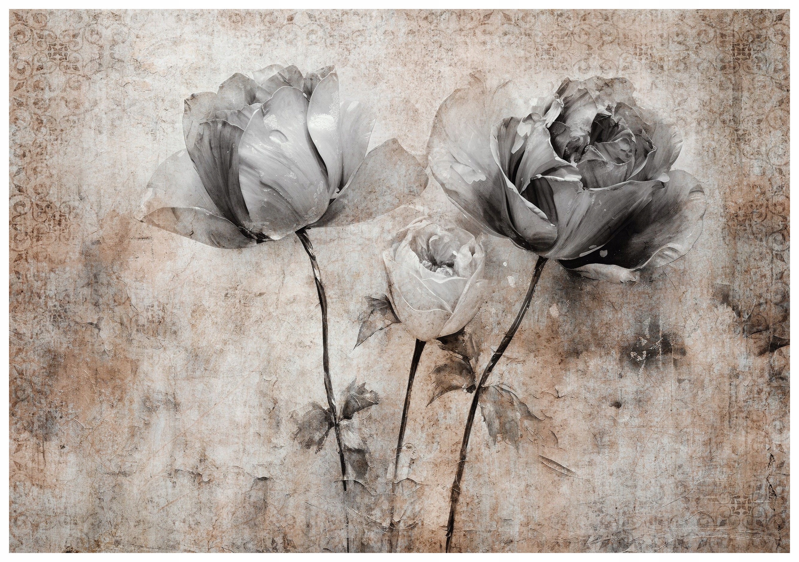 Fototapeta Monochromatické ruže Vintage vinylová 368x254 lepidlo