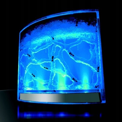 

Akwarium dla mrówek podświetlane Led