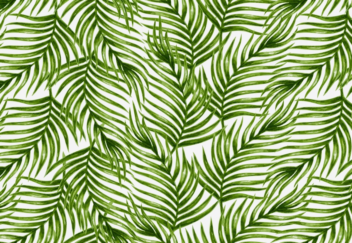 

Fototapeta Flizelina Liście palmowe 152x104