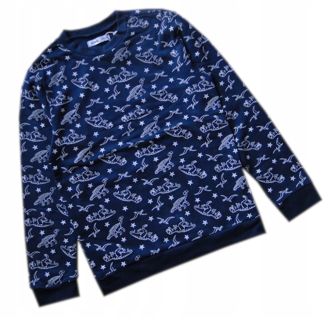 

Bluza 110 Dresowa Dinozaury