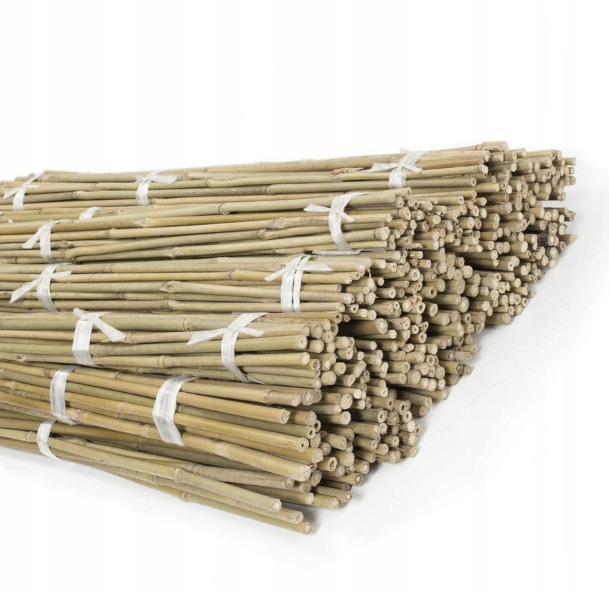 

Tyczka Bambusowa Podpora Palik 90cm 8-10 mm 50szt.