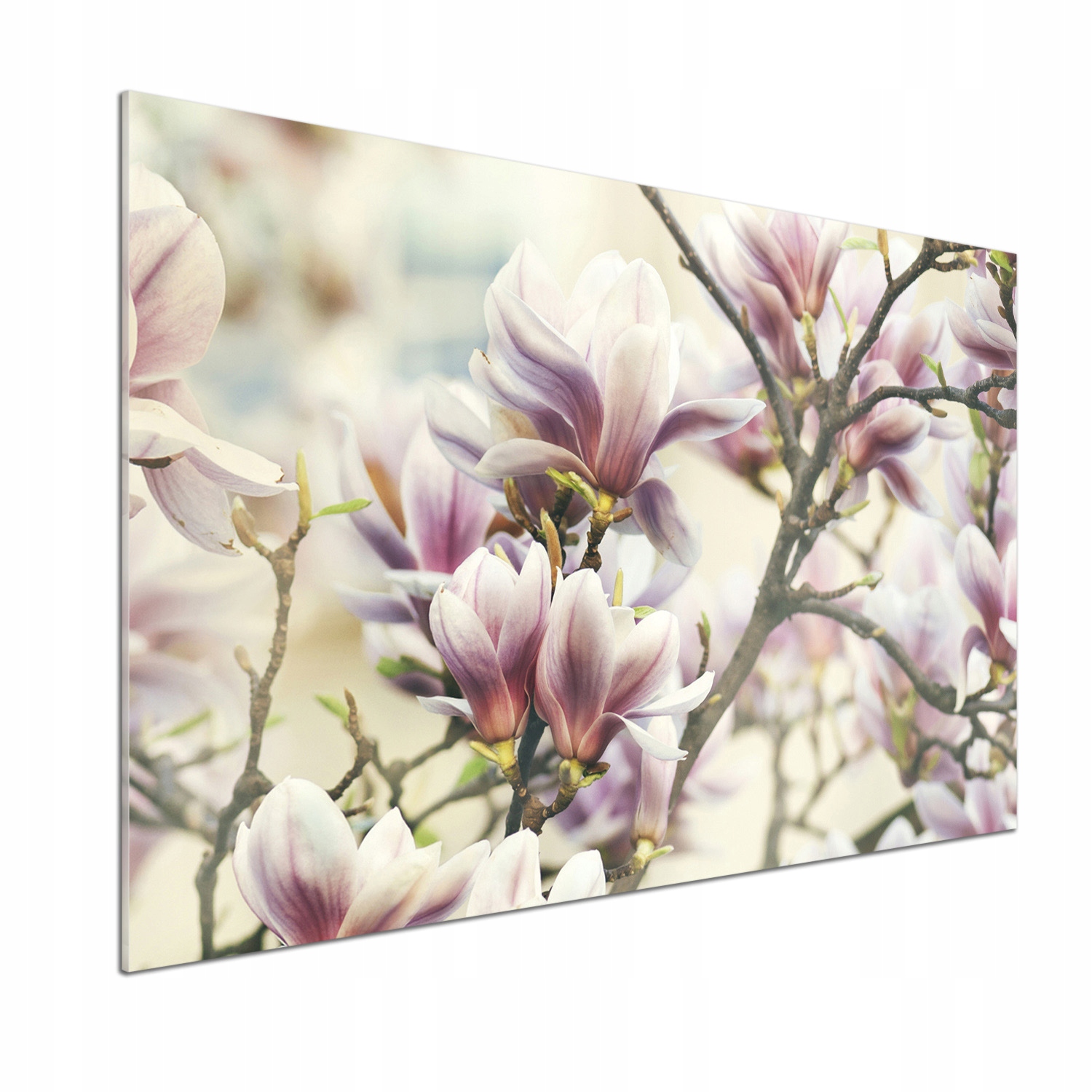Panel medzi nábytkom v kuchyni Magnólia 100x70 Lepidlo