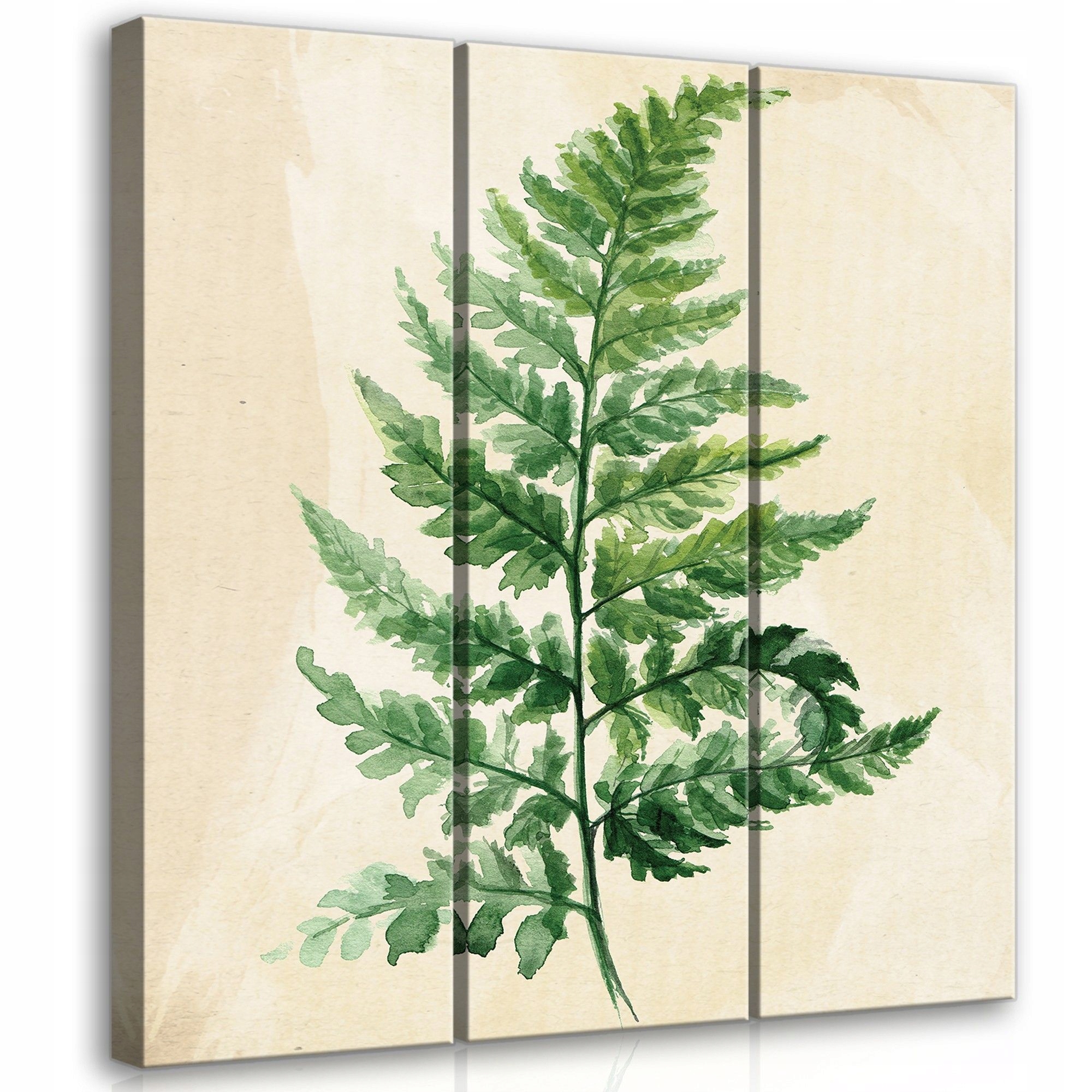 Obraz 90x100 Kapradina zeleň příroda botanika akvarel triptych minimalismus