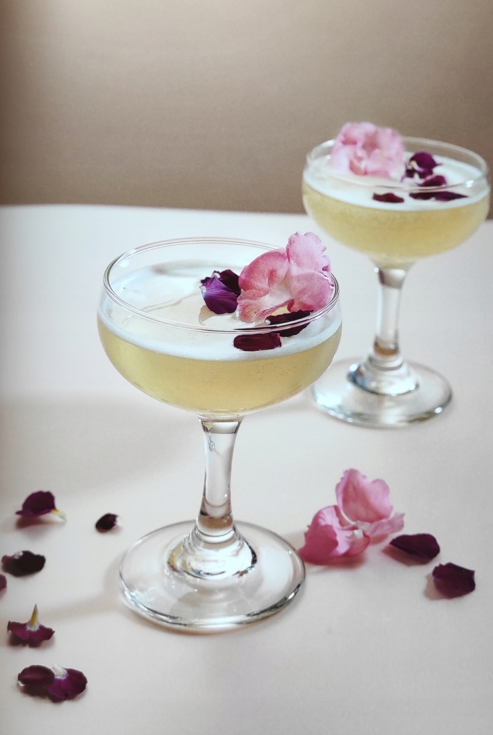 SYROP FRUTTAMAX CYTRYNA LIMONKA LIGHT SODASTREAM EAN (GTIN) 5998571760018