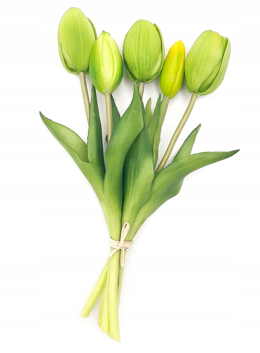 

Tulipan sztuczny Tulipany Bukiet 5 sztuk Zielony