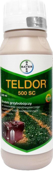 

Teldor 500SC 0,5L Szara Pleśń Owoców Kwiatów