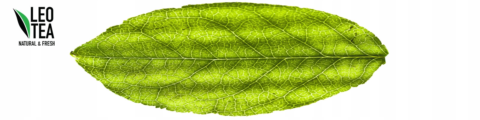 Zielona herbata GEJSZA na pamięć miłorząb + wiśnia Forma liściasta