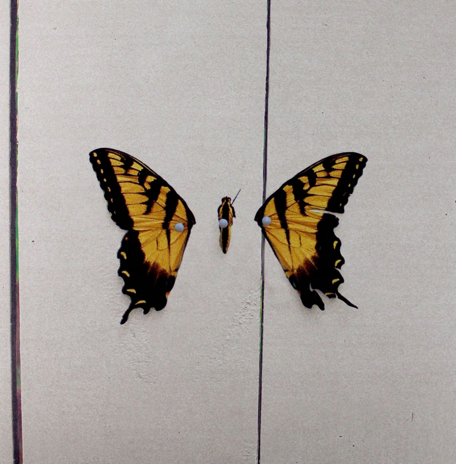 Cd Paramore Brand New Eyes - Niska cena na Allegro