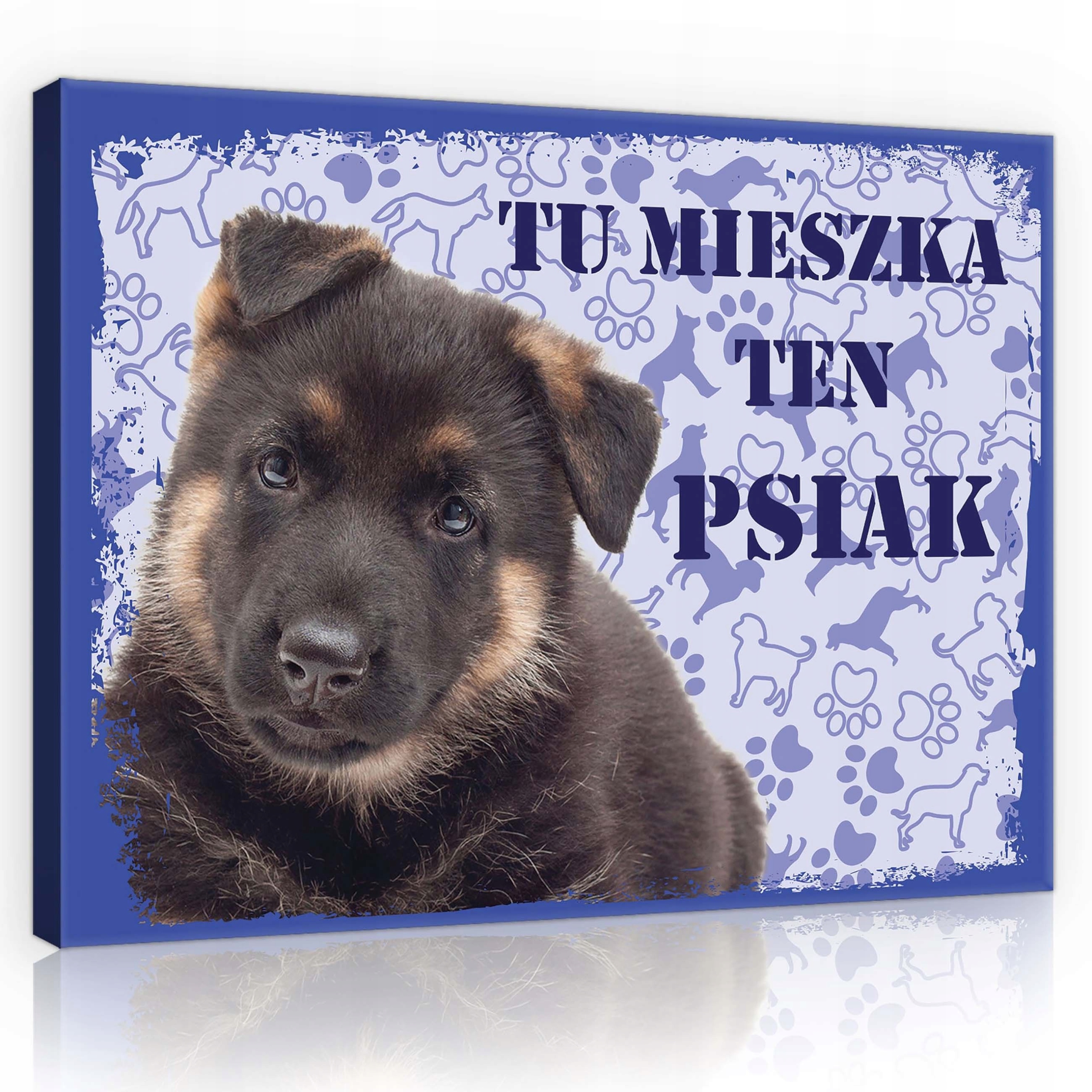 Obraz 80x60 Štěňátko německý ovčák pes sladký roztomilý Zde žije tento