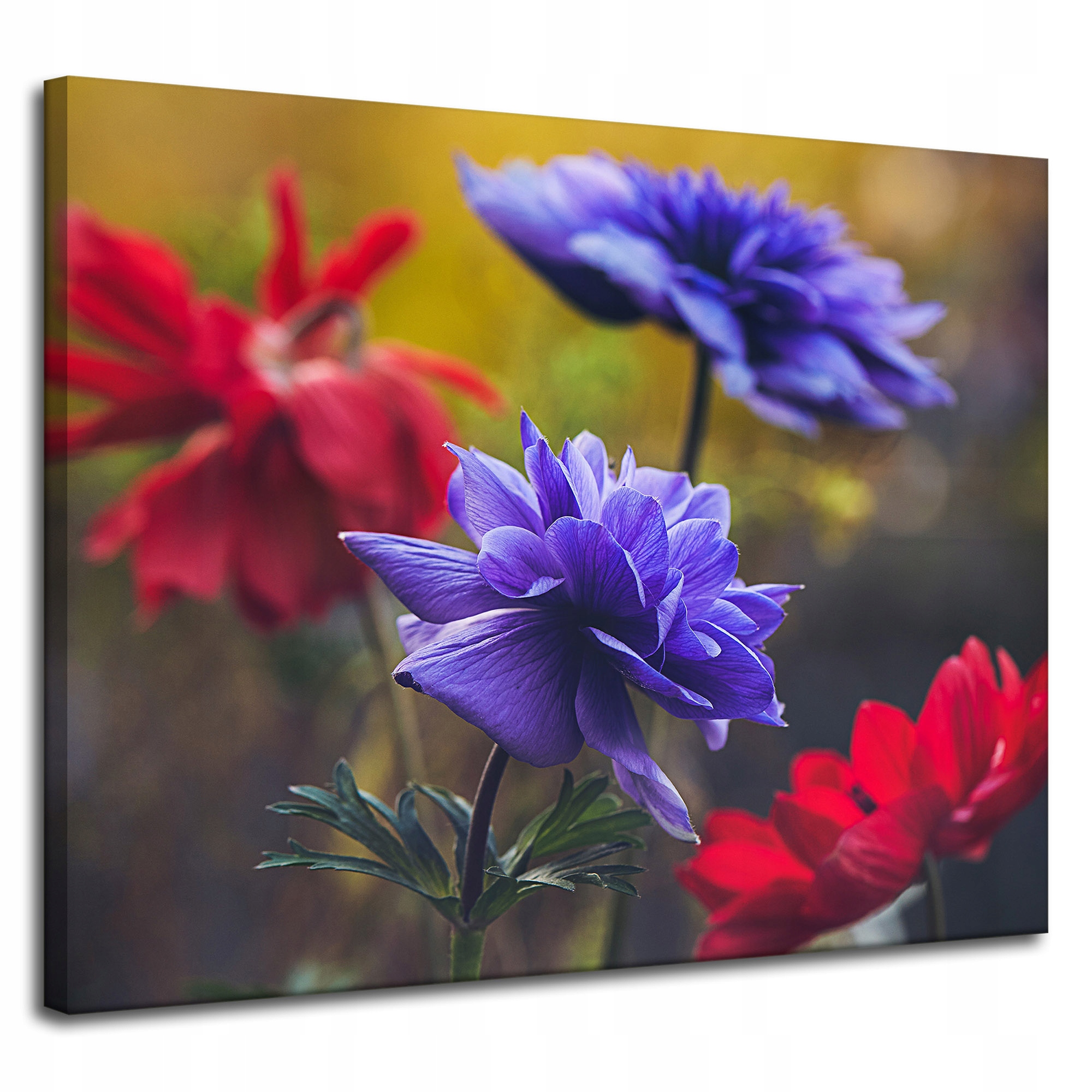 Obraz na plátně Botanika Květiny v zahradě 100x80