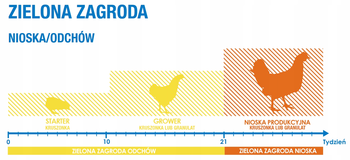 Pasza dla kurcząt Odchów 1 De heus 25 kg Kod producenta 2643