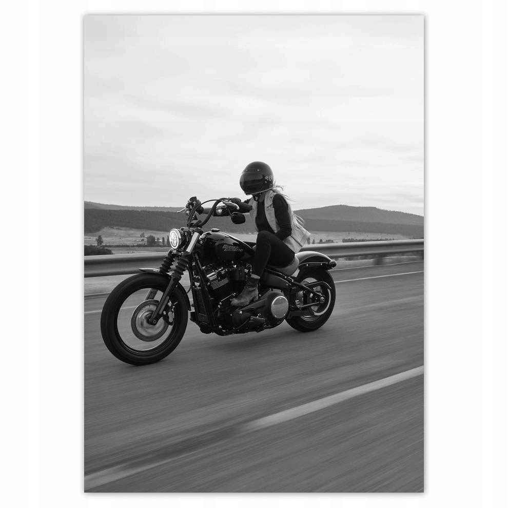 

Naklejki 50x70 Harley Davidson Motocykl