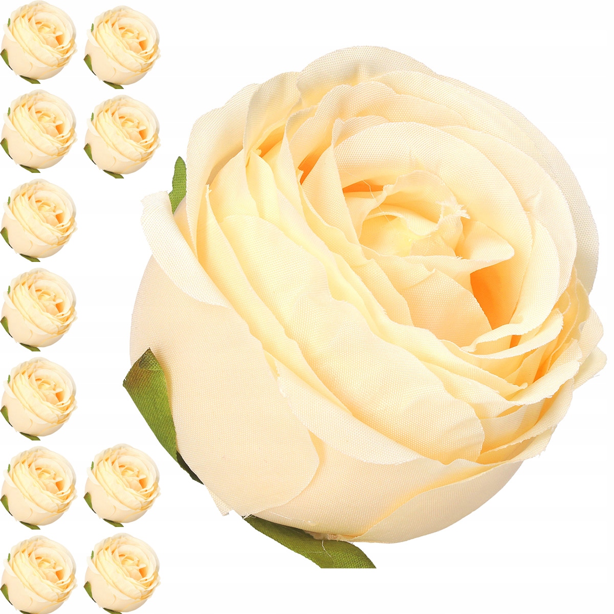 RÓŻA RÓŻE GŁÓWKA WYROBOWA DUŻY KWIAT PREMIUM 12szt