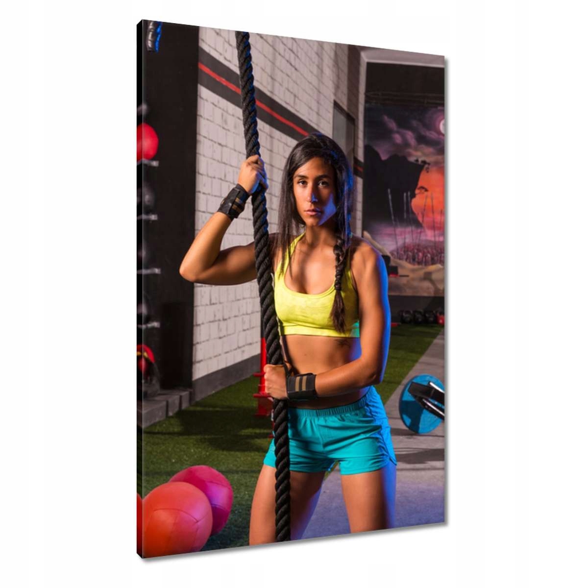 Obrazy 60x90 Posilovna Síla