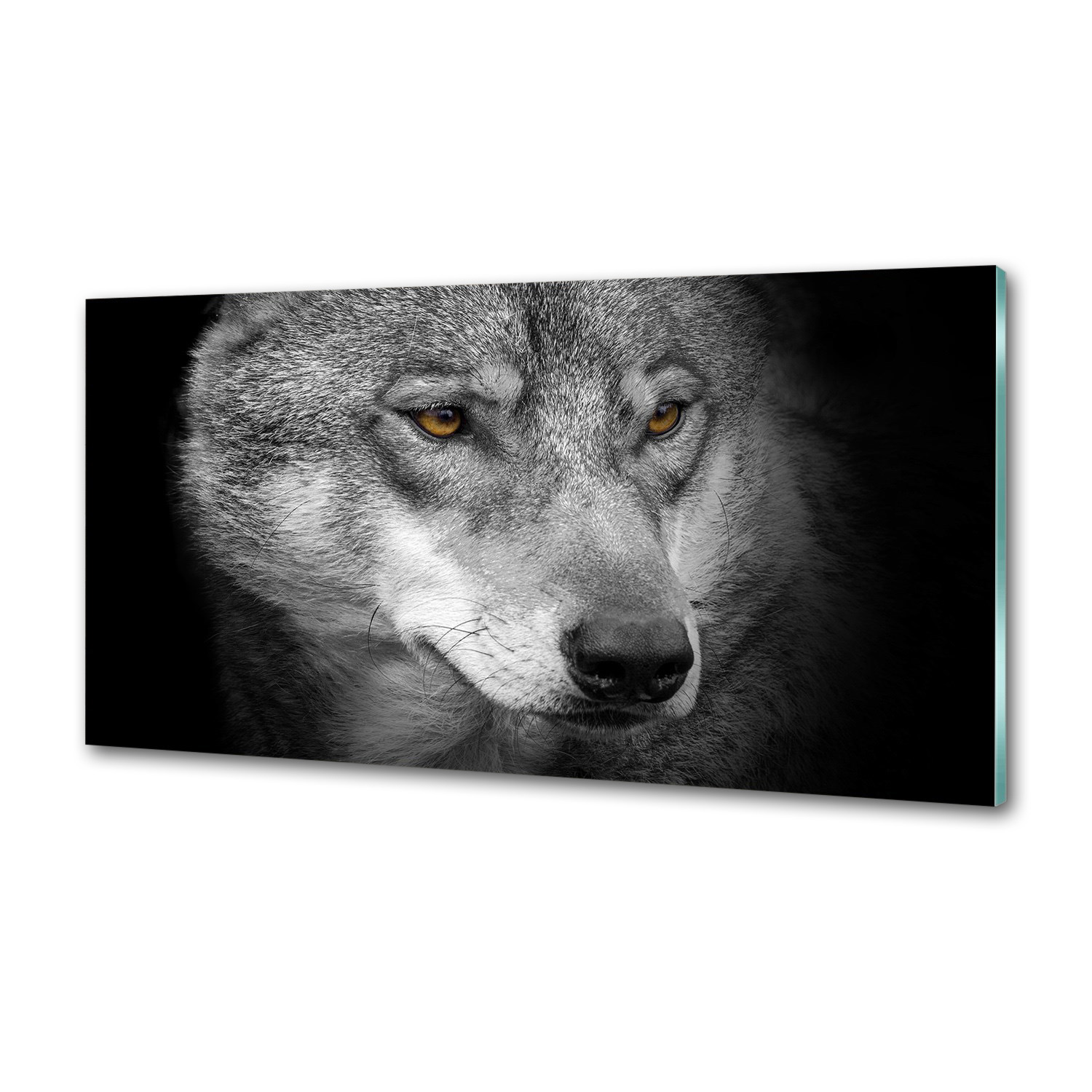 Sklenený panel do kuchyne Vlk rozmer 100x50 Lepidlo