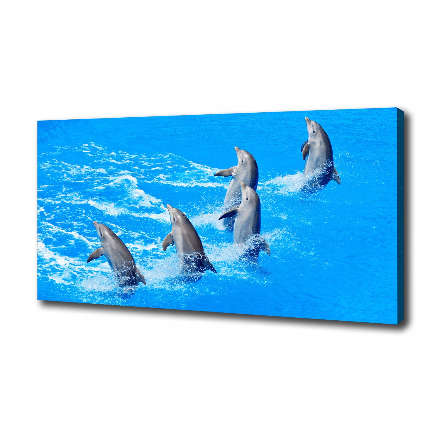 

Foto obraz canvas na ścianę Delfiny 100x50 cm