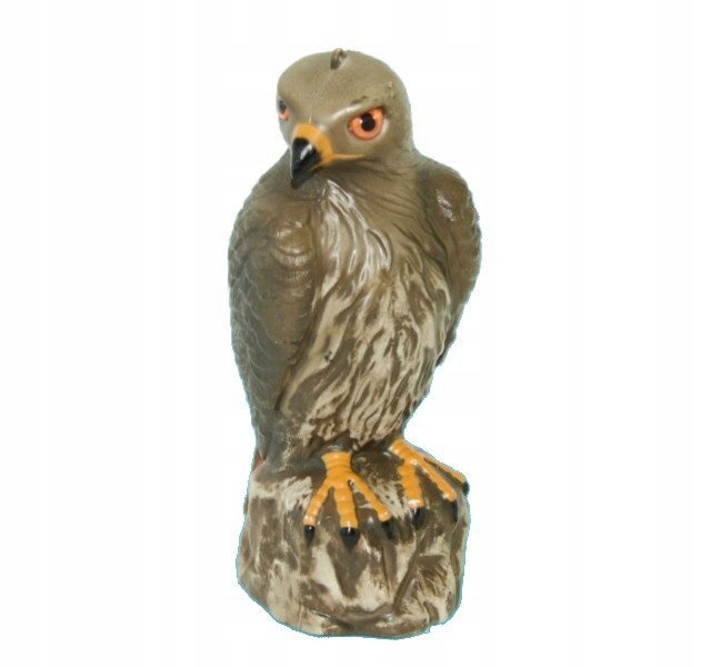 

Jastrząb Odstrasza Ptaki Ozdoba