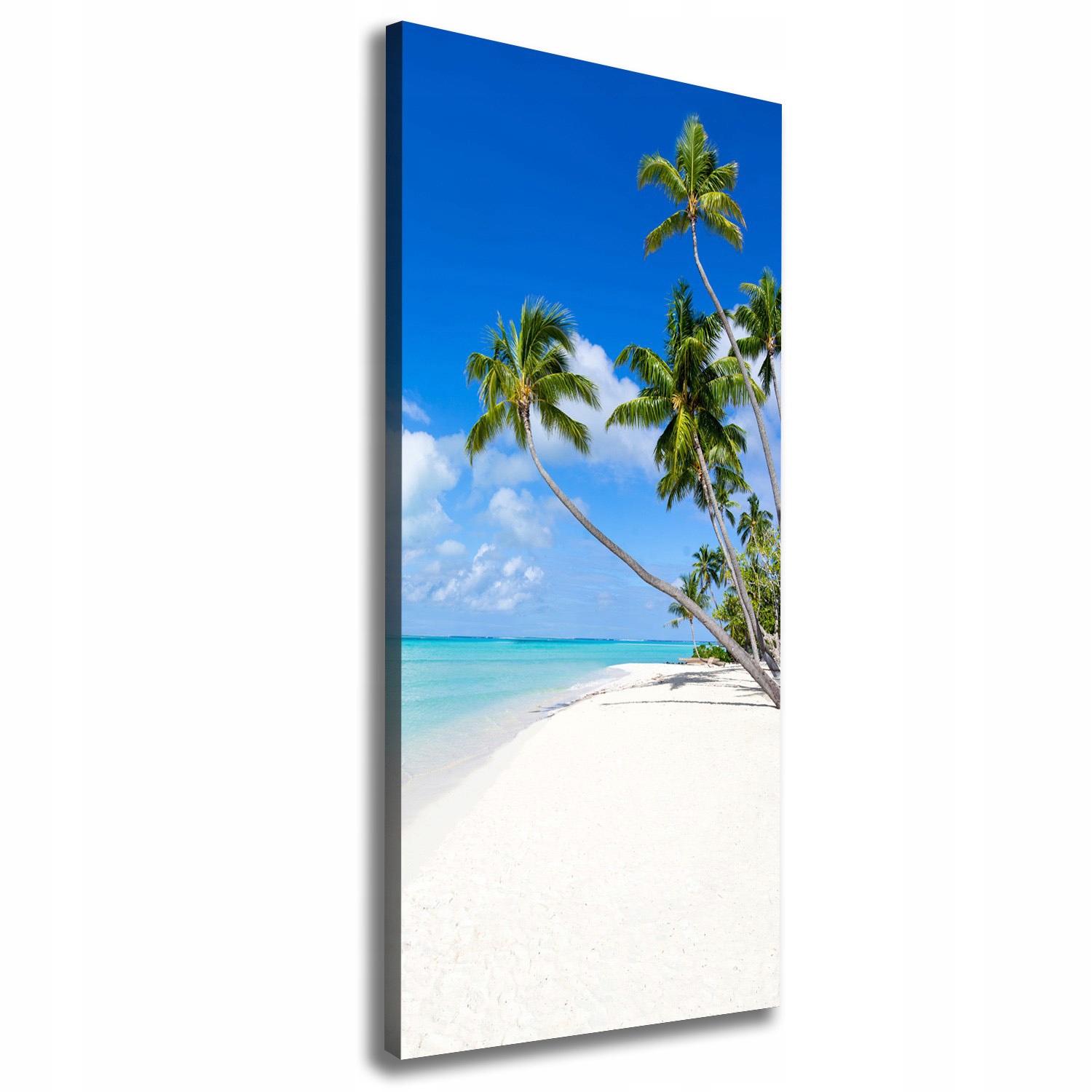 

Foto obraz na płótnie Tropikalna plaża 50x125 cm