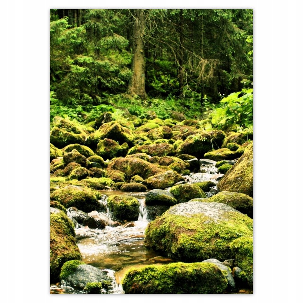 

Naklejki 50x70 Tatry Polskie góry Widok