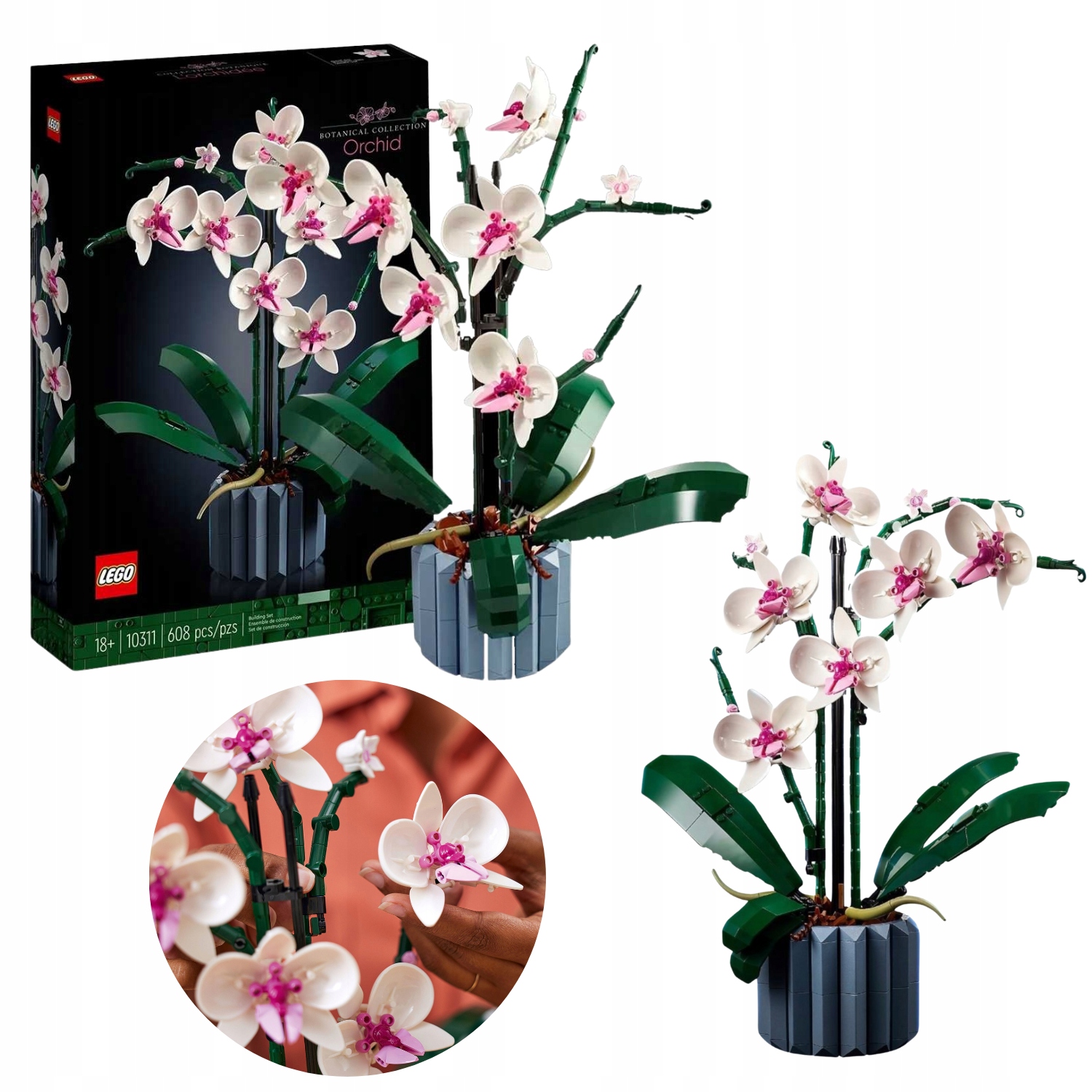 Lego Botanicals 10311 Orchidea Na Walentynki