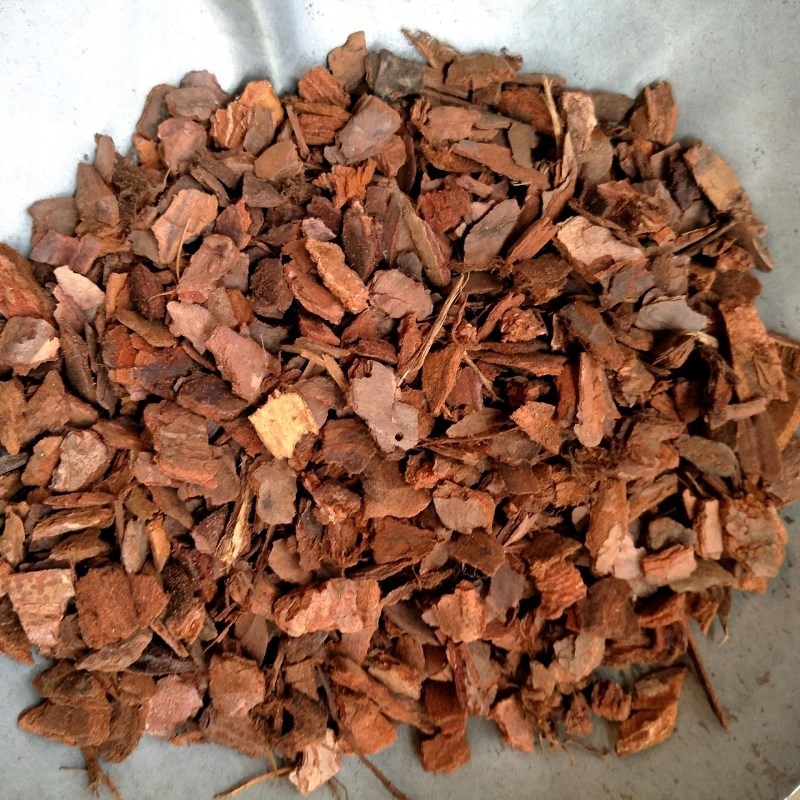 6 12mm--500g 100% naturalne Dendrobe Orch