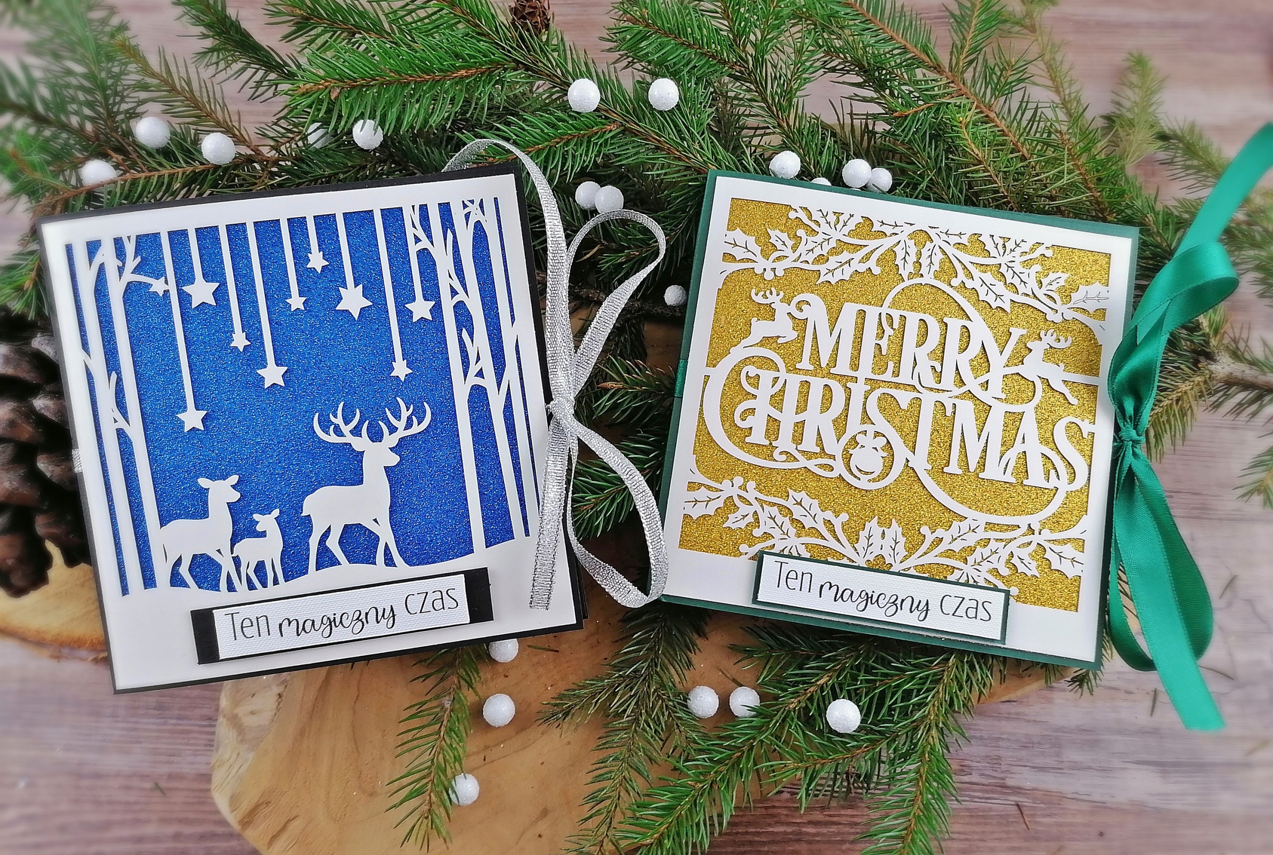 Świąteczne etui opakowanie na płytę CD z sesji -W2 Model FolderCD