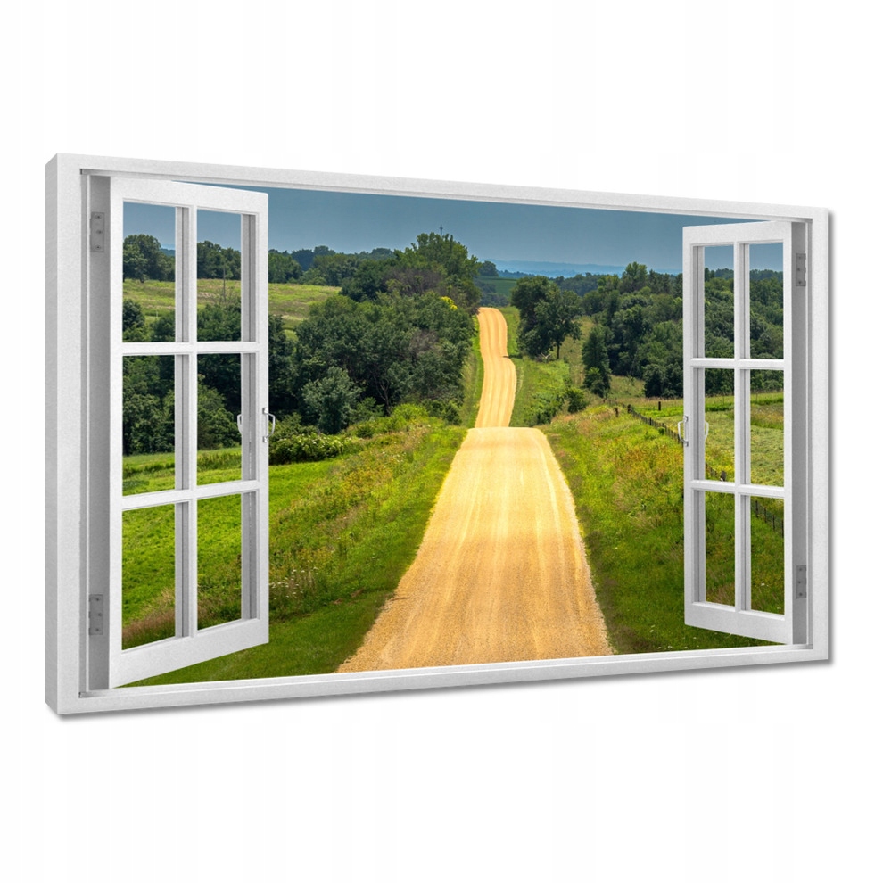 

Obrazy 120x80 Droga Łąka Pole Las