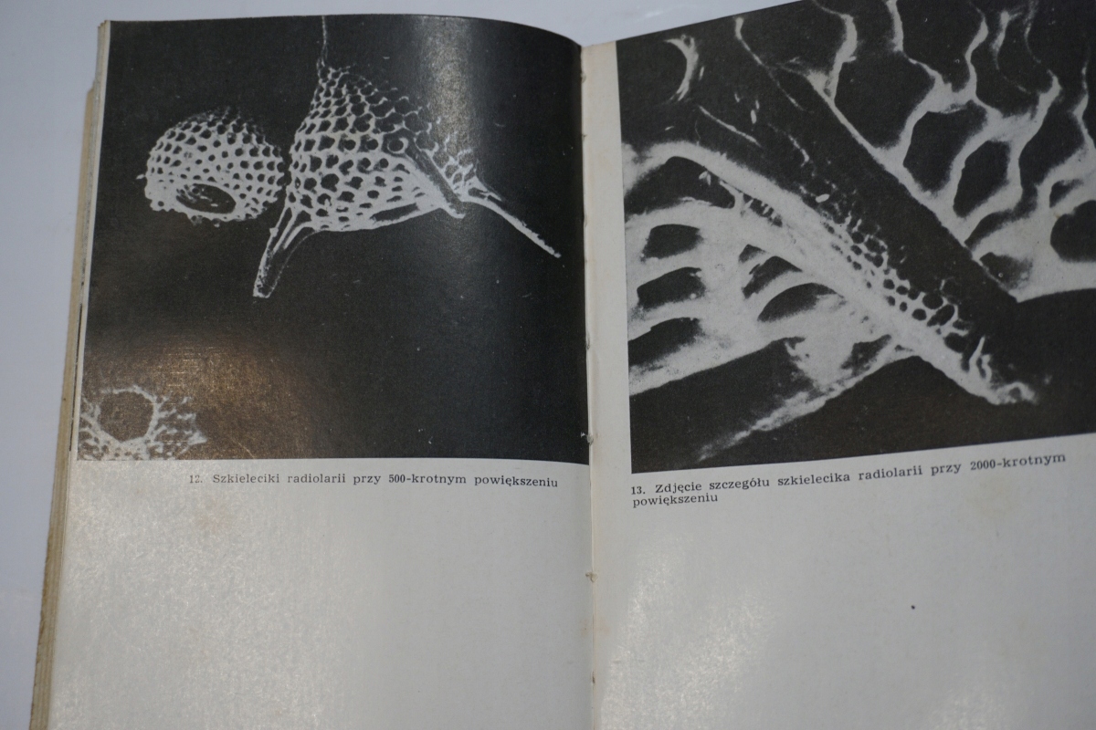 DZIECI WSZECHŚWIATA Hoimar von Ditfurth Okładka miękka ze skrzydełkami