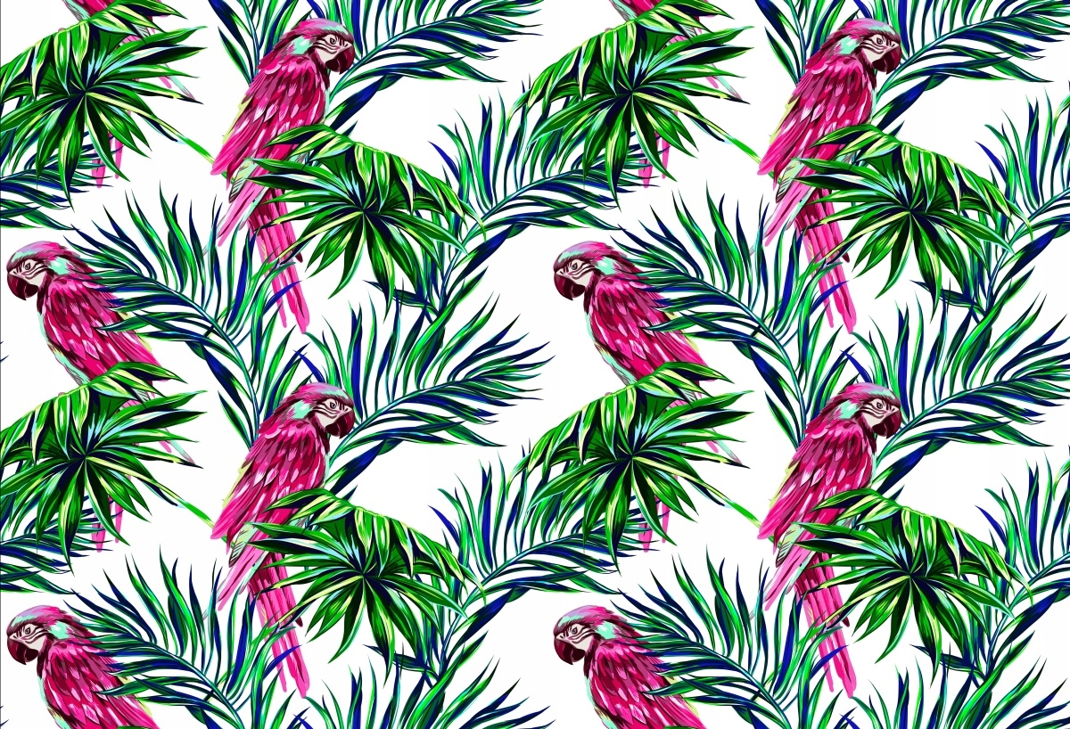 

Fototapeta Flizelinowa Papugi - 104x70