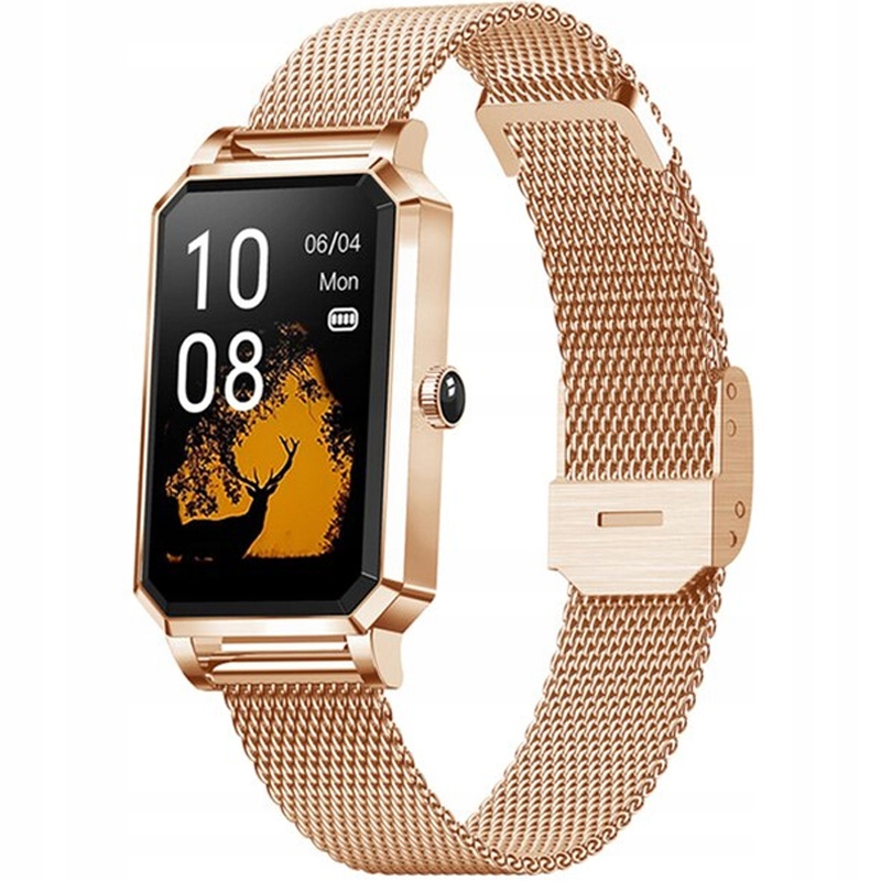 SMARTWATCH ELEGANCKI SPORTOWY ZEGAREK DAMSKI Materiał paska stal