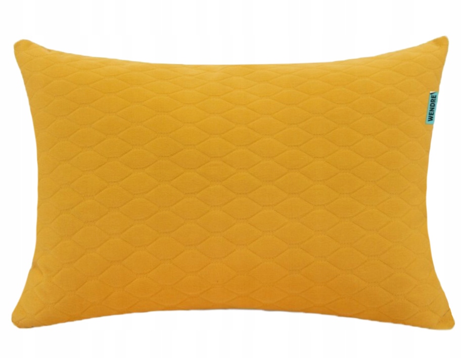 

Poduszka Termoplastyczna Ortopedyczna Aloes 40X60