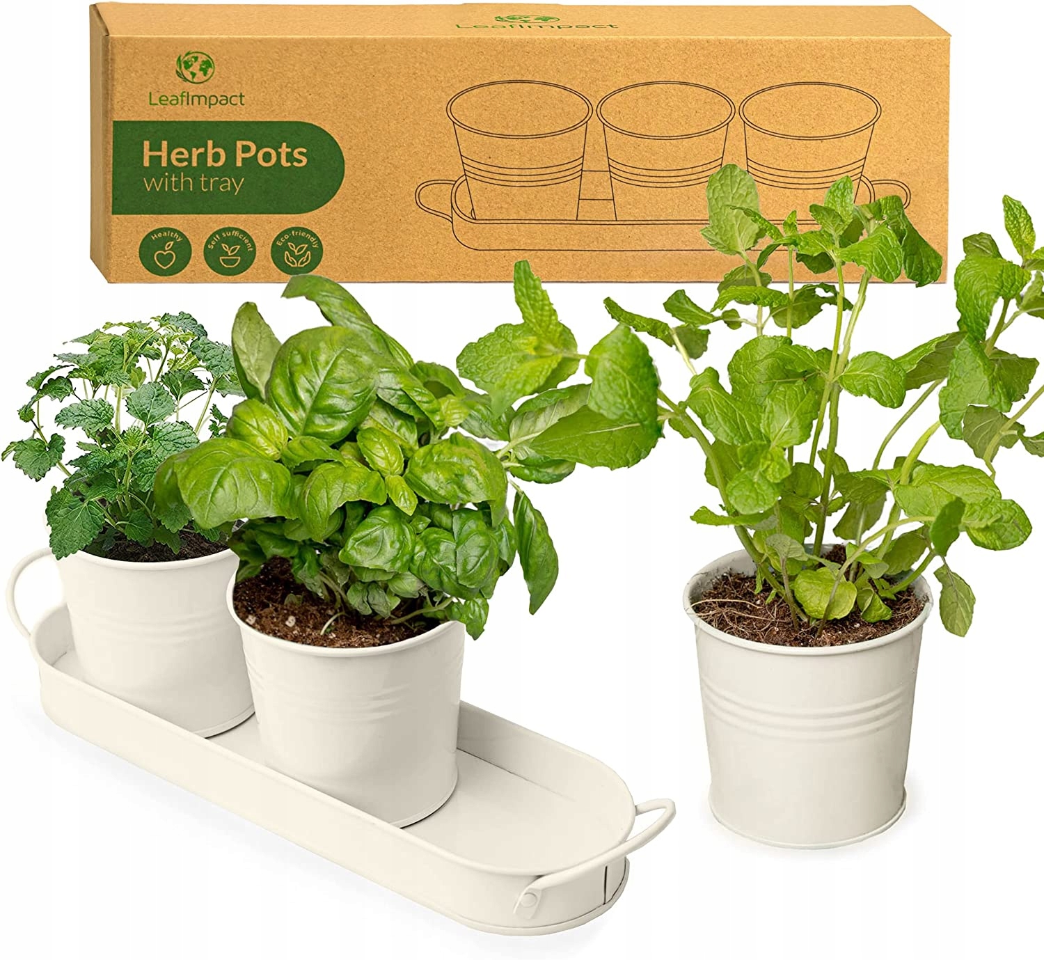 

Doniczka Na Zioła x 3 szt. Z Podstawą Leafmpact