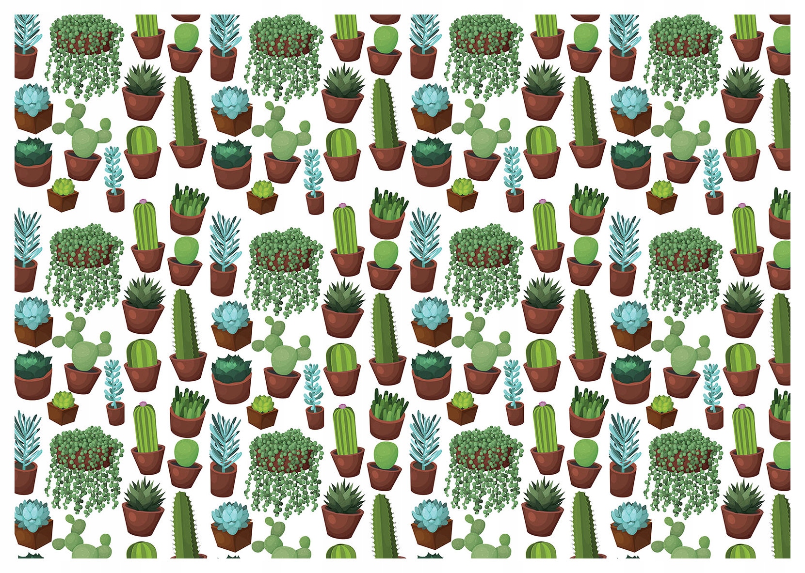 Fototapeta Kaktusy a sukulenty na bílém pozadí minimalismus vinyl 208x146 lepidlo