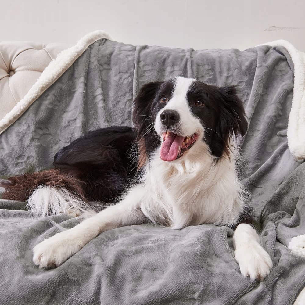 Levně 100% Voděodolný Pelíšek Přehoz 150x200 Oboustranná Deka Na Postel Tlapky