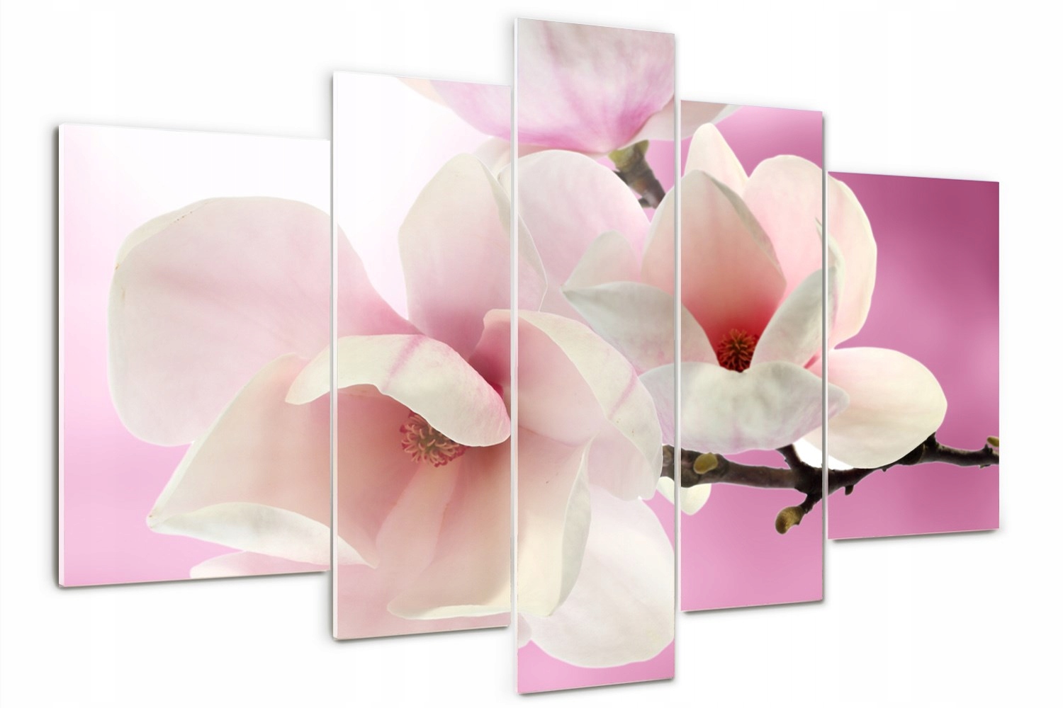 

Foto Obraz szklany tryptyk nowoczesny Magnolia