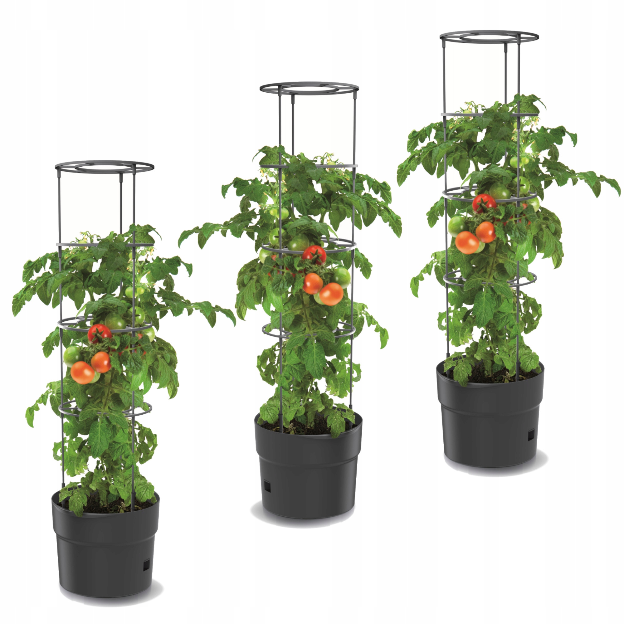 3x Květináč rajčata jahody fazole okurky 35 cm