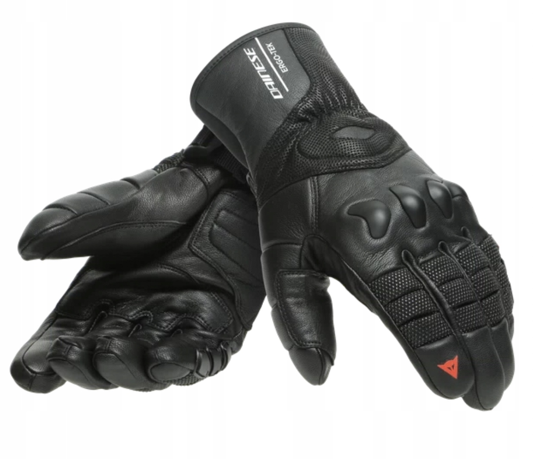 Dainese Hp Ergotek Pro Ski Gloves Męskie rękawice narciarskie