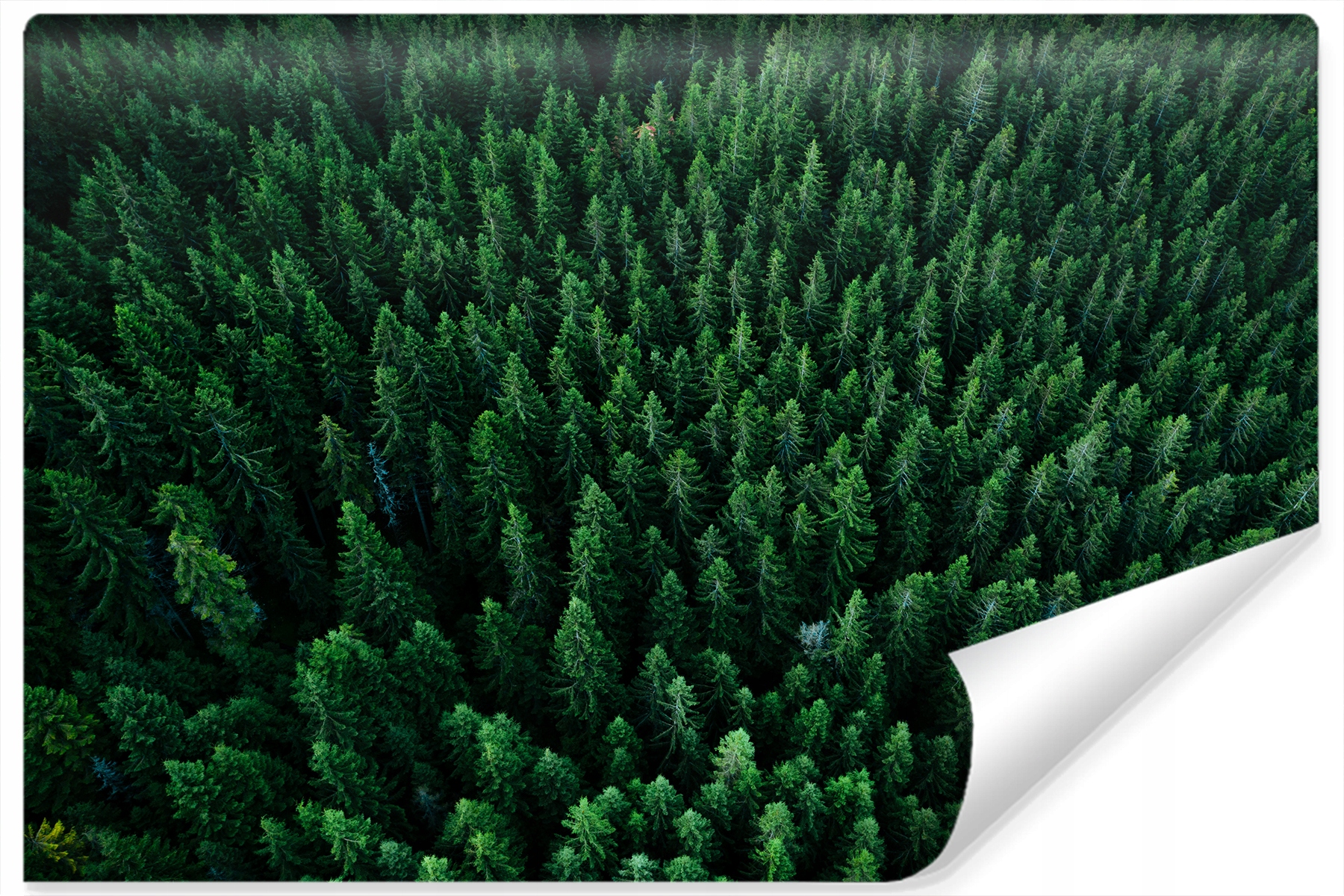 Fototapeta Les Pohled z hory Krajina 3D 368x254