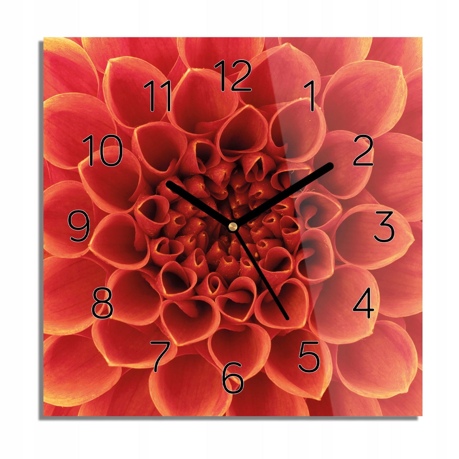 

Dalia płatki makro foto-zegar czarne cyfry 30x30