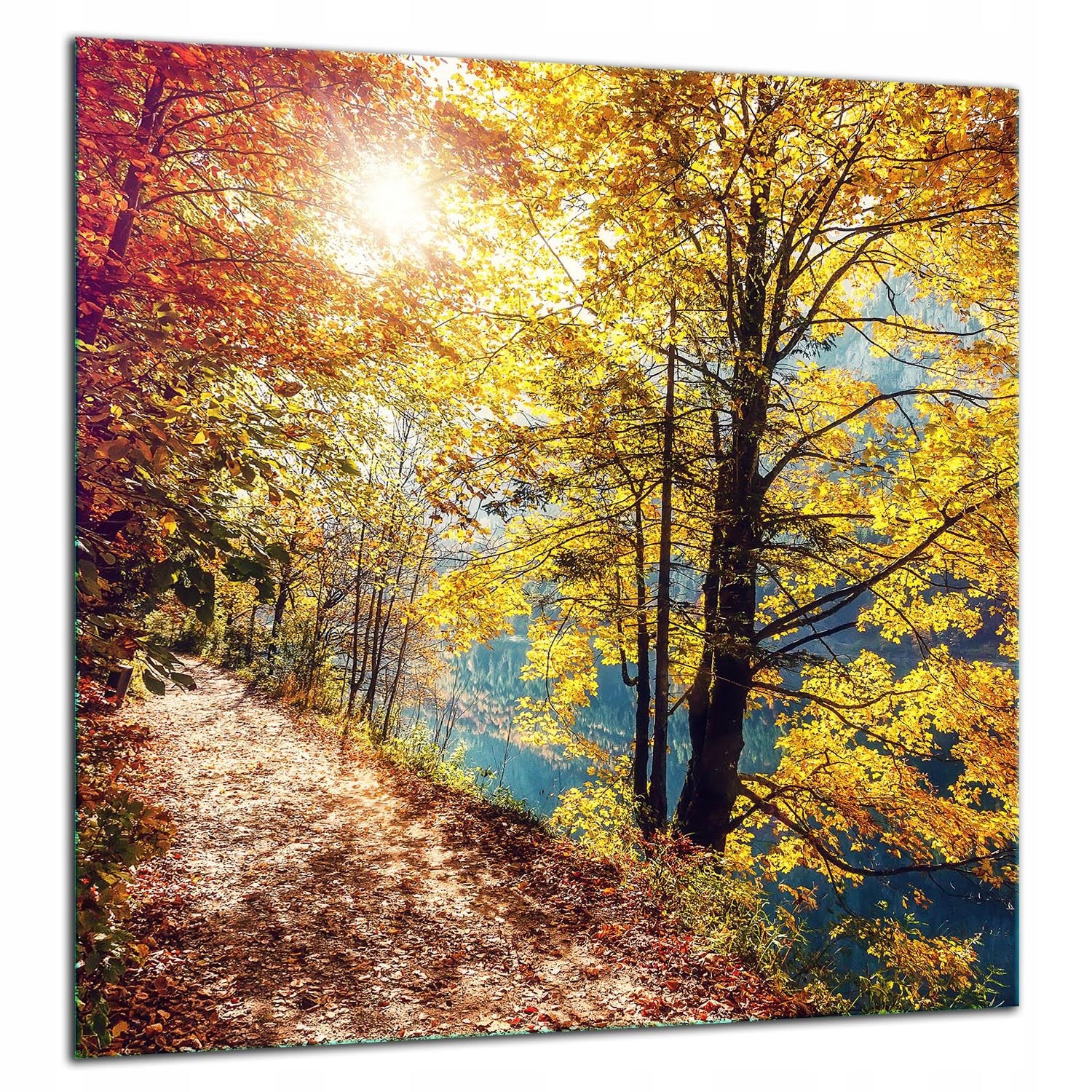 7v1 Skleněná Ochranná Deska Panel Lepidlo 60x65 Krajina