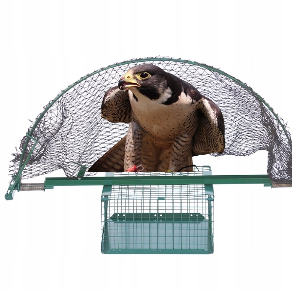 Żywołapka pułapka na ptaki, jastrzębie, Z koszem na przynętę