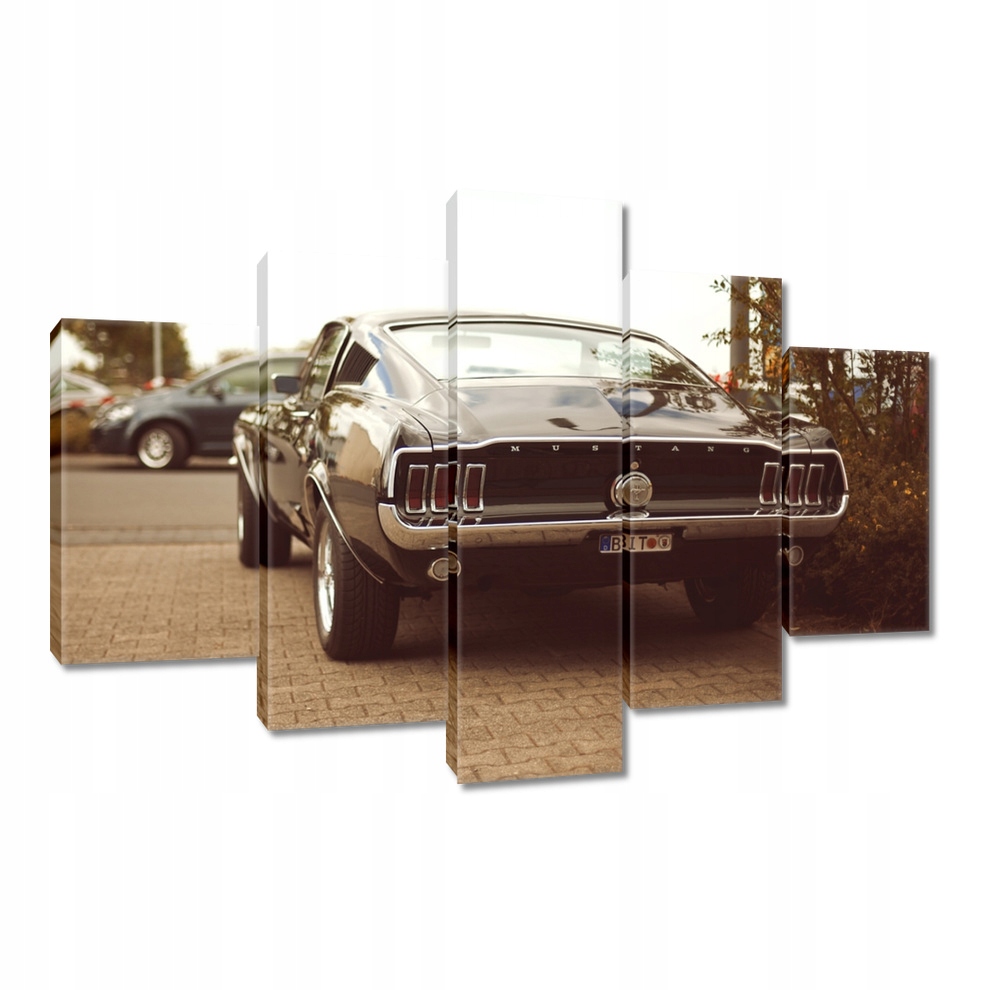 

Obrazy 150x105 Vintage foto Ford Mustang